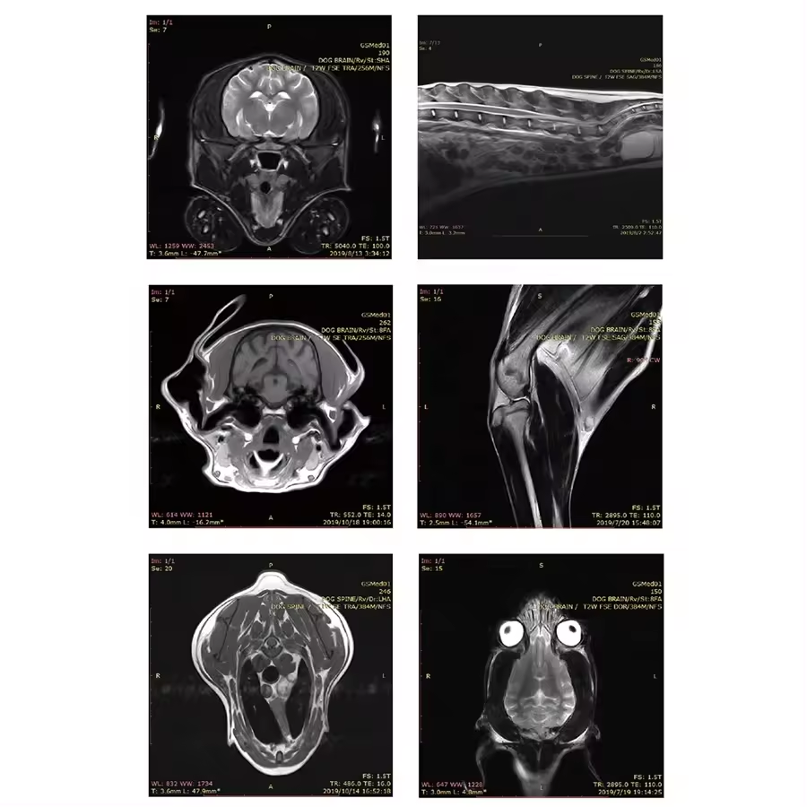 H0055 Yeni Varış MRI Makinesi 1.5T Manyetik Rezonans Görüntüleme Sistemi X Ray MRI Veterinerlik Aleti